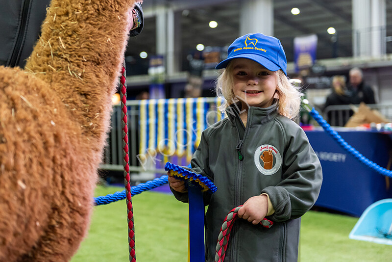 IWP0741 
 BAS National Show 2024 
 Keywords: British Alpaca Society, National Show, 2024, Champion of Champions Fleece Show, Alpaca, Suri, Huacaya