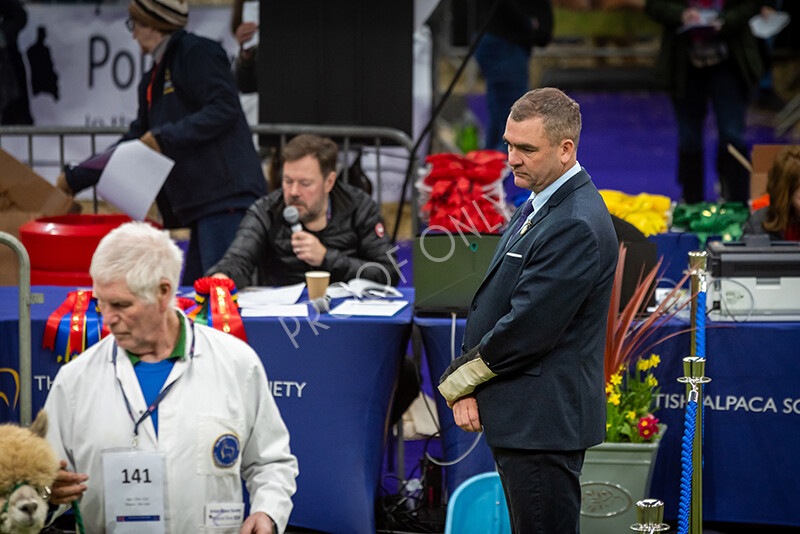 IWP0503 
 BAS National Show 2024 
 Keywords: British Alpaca Society, National Show, 2024, Champion of Champions Fleece Show, Alpaca, Suri, Huacaya